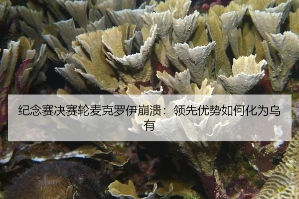 ji-nian-sai-jue-sai-lun-mai-ke-luo-yi-beng-kui-ling-xian-you-shi-ru-he-hua-wei-wu-you-2-466.jpg